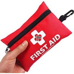 First Aid kit ( small)