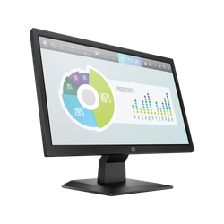 HP P204v 19.5 inch HD Widescreen Monitor