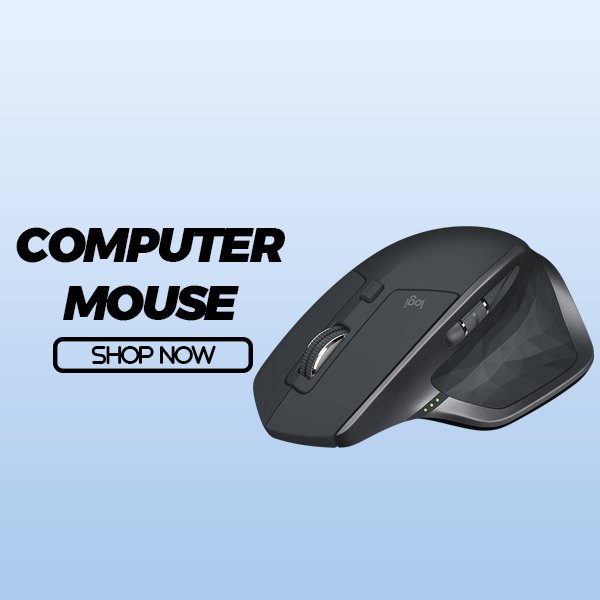Computer Mouse