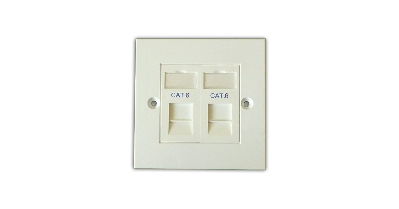 ACP Double CAT6 Faceplate