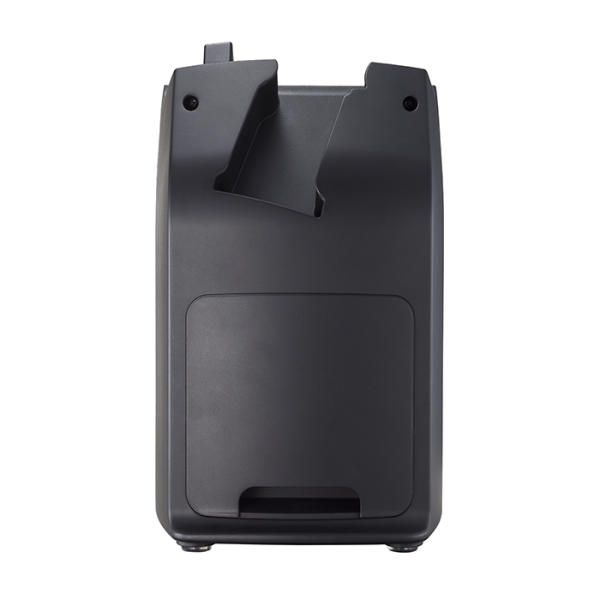 Posiflex DS210 Docking Station