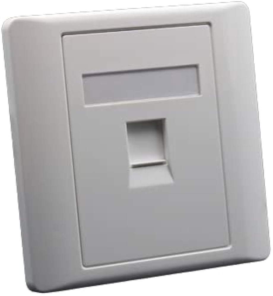 RJ11 Telephone and Data Faceplate