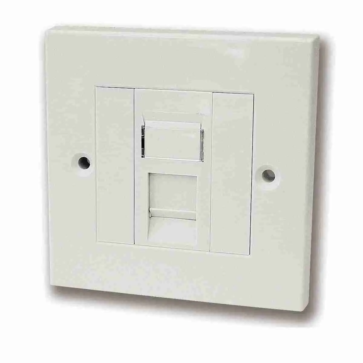 Siemon Cat 6A 10G Double/ Single Faceplate