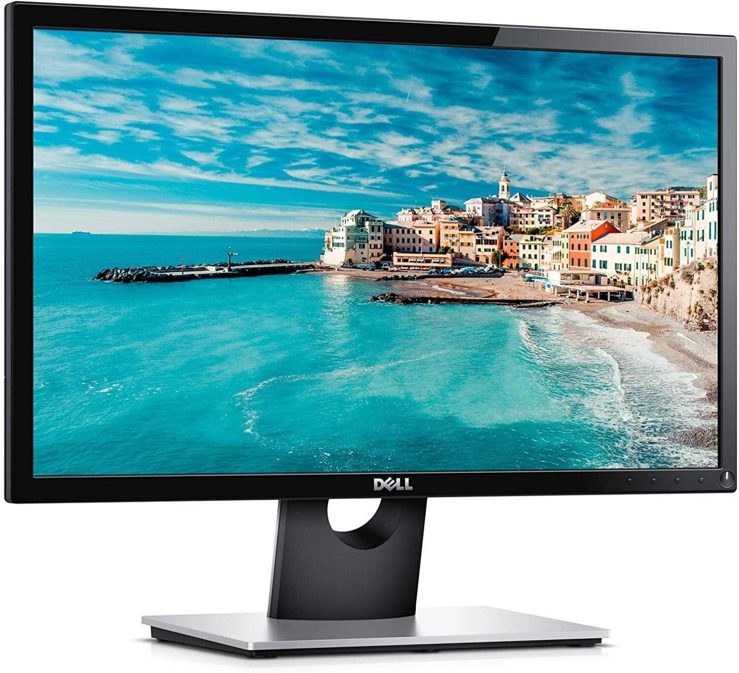 Dell E1916H 19 18.5" LED Monitor