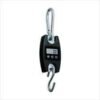 200Kg Digital Hanging Mini crane Weighing Scale