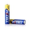 PKCELL Heavy Duty AAA Battery
