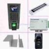 Biometric RFID Card and Number in Keyswitch Out Access Control